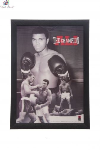 3 D Muhammad Ali