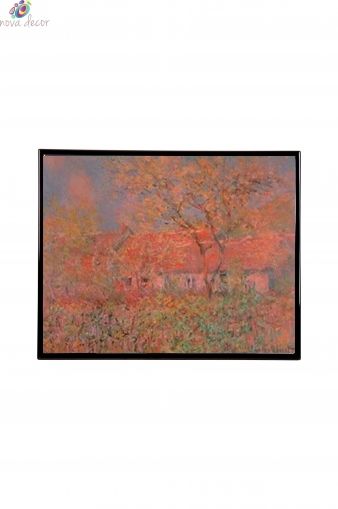 Mylar Framed Print  – Autumn sun