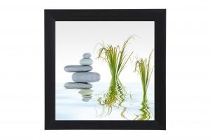Framed Print - Water reed