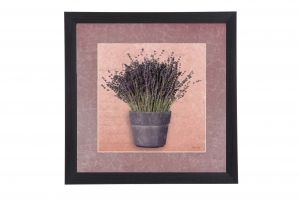 Framed Print - Aroma of lavender
