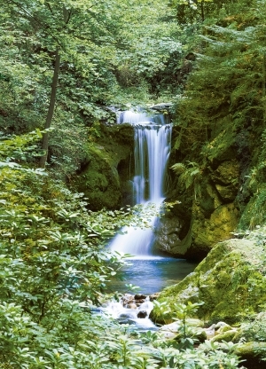 Фототапет Waterfall in Spring